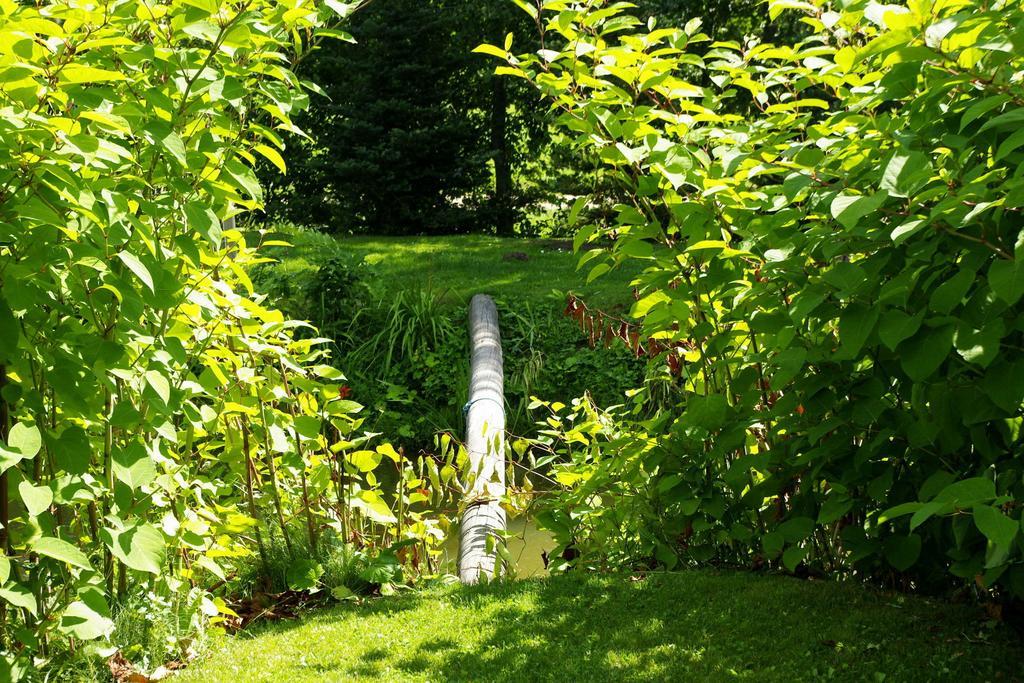 Udumaee Holiday Farm Kirikukula  Экстерьер фото